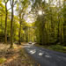 Leaf Peepers Trail leading our from Leaf Peppers Cottages - the prime location to discover leaf peeping within the Wye Valley and the Forest of Dean