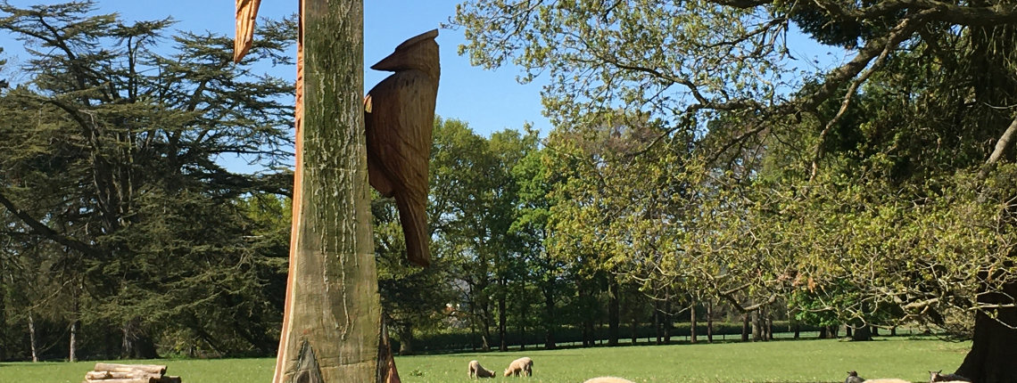 Lovely views in the fields from Wharton Lodge Cottages, luxury self catering accommodation in the Wye Valley, close to the Forest of Dean